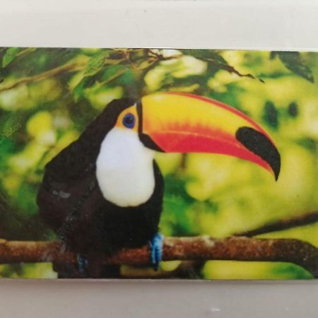 Tucan بلايا ديل كارمن المظهر الخارجي الصورة