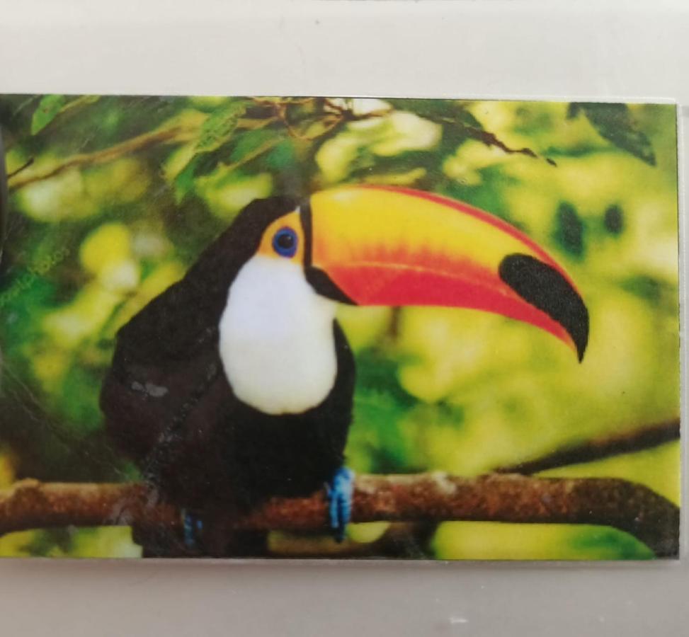 Tucan بلايا ديل كارمن المظهر الخارجي الصورة